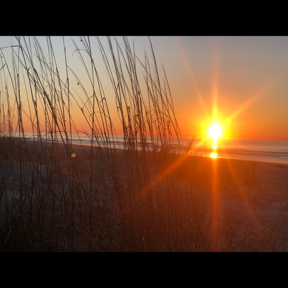 Meet your Posher, Ken - Picture 1 of 1